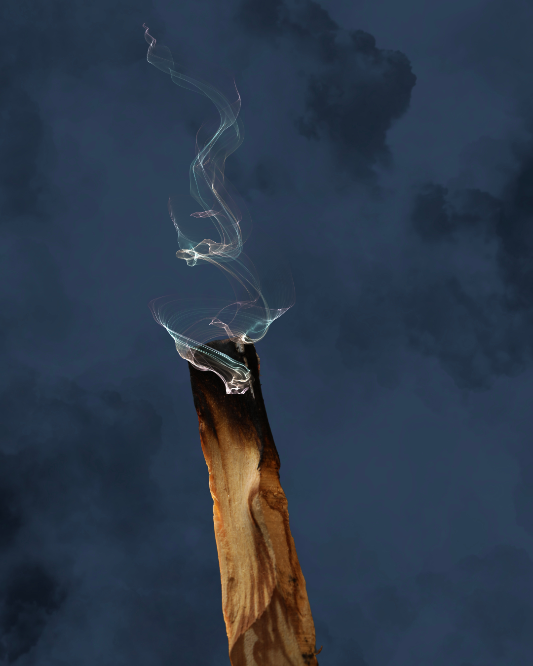 Palo Santo image 1