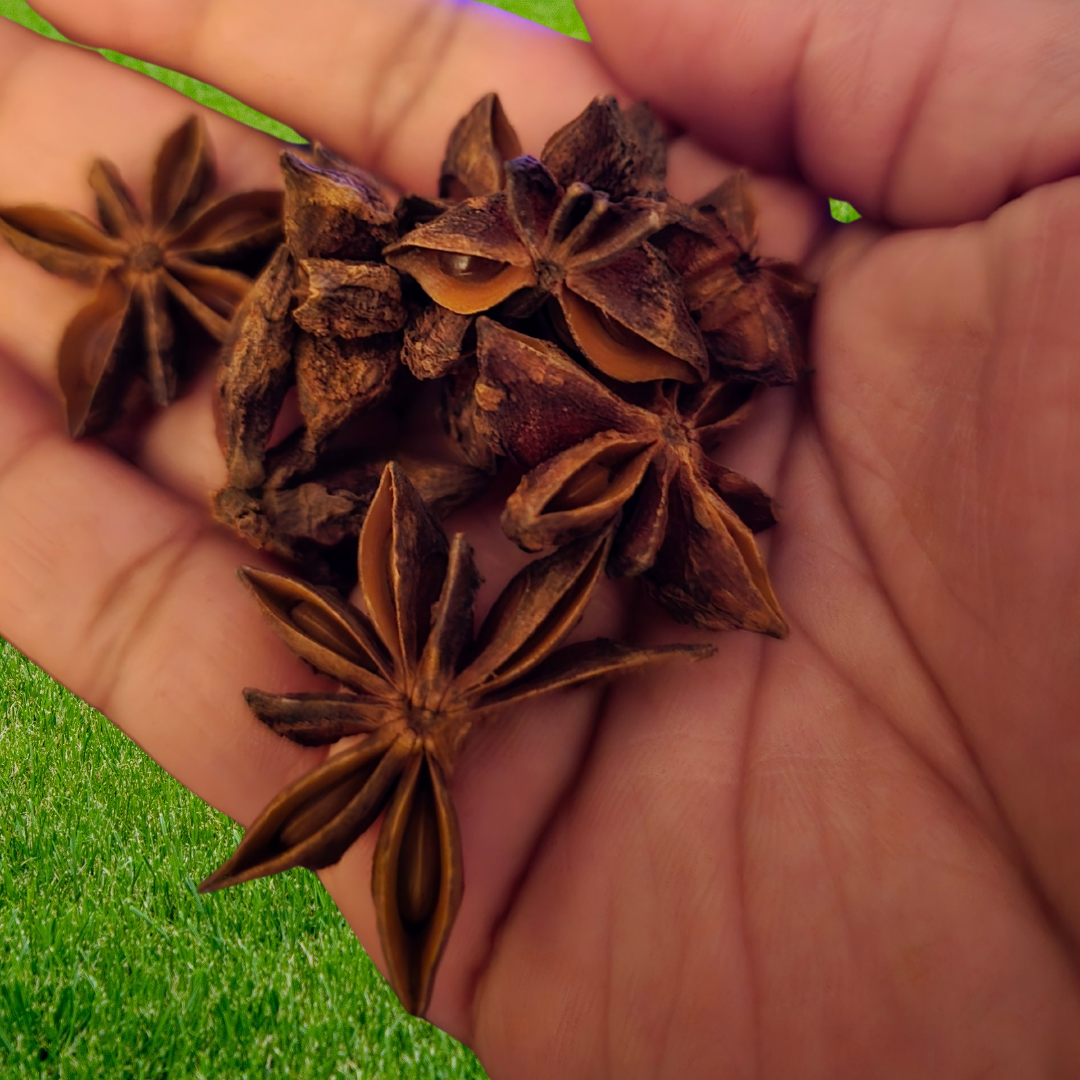 Star Anise image 1