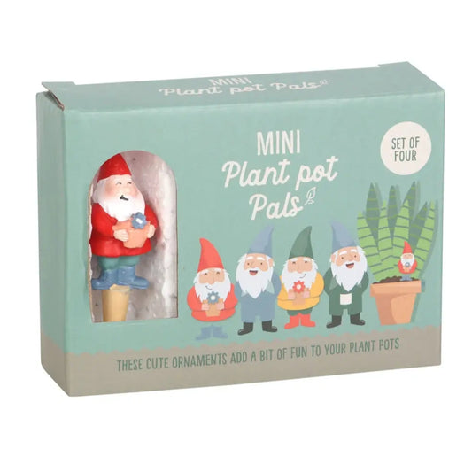 Mini Gnome Plant Pot Pals image 0