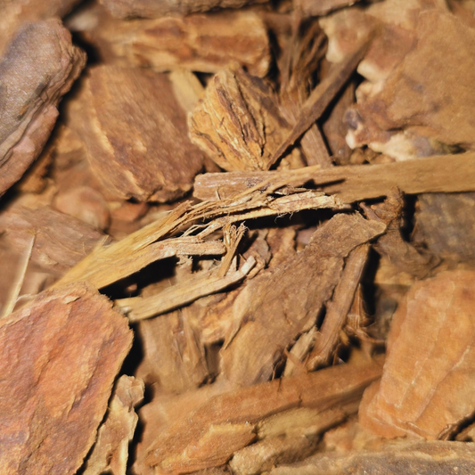 Jezebel Root image 0
